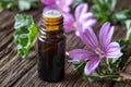 A bottle of common mallow essential oil with fresh malva sylvestris flowers