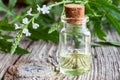 A bottle of vervain essential oil with blooming verbena officinalis Royalty Free Stock Photo