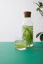 Bottle with cork and glass with water and sliced cucumbers and plant leaves on green surface