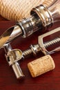 The bottle with corkscrew and wine accessories Royalty Free Stock Photo