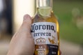 Corona beer