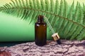 Bottle of cosmetic oil with pipette on green background with fern leaves and tree bark. Front view Royalty Free Stock Photo