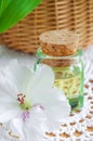 Bottle of cosmetic oil (perfume, tincture) and exotic flower