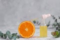 Bottle of cosmetic skincare serum with dropper, orange and eucalyptus. Beauty concept. Citrus essential oil with Vitamin Royalty Free Stock Photo
