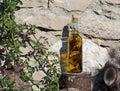 Bottle of craft  grappa, an italian pomace brandy, with a juniper sprig in it, on a wooden trunk. Royalty Free Stock Photo