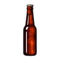 Bottle of dark beer, soda or lemonade. Hand drawn vector illustration