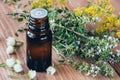 A bottle of dark glass with essential oil of thyme for aromatherapy and health. Royalty Free Stock Photo