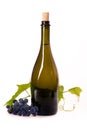 A bottle dark glass grape branch leaves