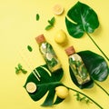 Bottle of detox water with mint, lemon and tropical monstera leaves on yellow background. Flat lay. Square crop. Citrus Royalty Free Stock Photo