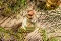 A bottle of dill seed oil with blooming Anethum graveolens Royalty Free Stock Photo