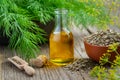 Bottle of dill seeds oil, bunch of fresh green dill and bowl of dried fennel seeds.