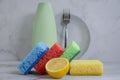 Bottle of dish detergent, lemon, cleanup chemical sterilize sponge on a light background