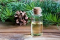 A bottle of Douglas fir essential oil with fresh Douglas fir bra