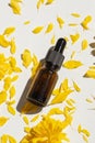 Bottle with dropper pipette with serum or essential oil on the background yellow flower petals. Royalty Free Stock Photo