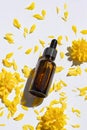 Bottle with dropper pipette with serum or essential oil on the background yellow flower petals. Royalty Free Stock Photo