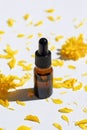 Bottle with dropper pipette with serum or essential oil on the background yellow flower petals. Royalty Free Stock Photo