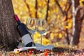 Bottle Of Dry Red Wine and Glasses Royalty Free Stock Photo