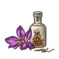 Bottle with dry threads. Saffron flower with stamens. Engraving