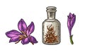 Bottle with dry threads. Saffron flower with stamens. Engraving