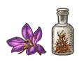 Bottle with dry threads. Saffron flower with stamens. Engraving