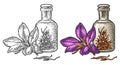 Bottle with dry threads. Saffron flower with stamens. Engraving