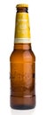 Bottle of Dutch Brand Saison beer