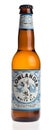 Bottle of dutch Lowlander White Ale beer isolated on white