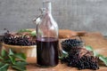 A bottle of elderberry syrup on a wooden background