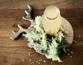 Bottle of elderflower cordial surrounded by white elderflowers or little elderberry flowers. Top view of elder flower spring drink