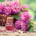 Bottle of elixir or essential oil and clover in basket.