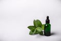 Bottle Essence Oil and green twig. Health Ecology concept