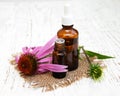 Bottle with essence oil with purple echinacea Royalty Free Stock Photo