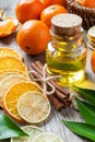 Bottle of essential citrus oil, dried orange and lemon slice Royalty Free Stock Photo