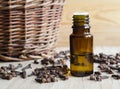 Bottle of essential clove oil Royalty Free Stock Photo