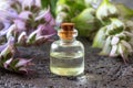 A bottle of clary sage essential oil and fresh plant Royalty Free Stock Photo