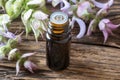 A bottle of clary sage essential oil and fresh plant