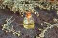 A bottle of essential oil with blooming wormwood