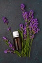 A bottle with essential oil and a bouquet of lavender on a dark blue background. Flat lay, top view