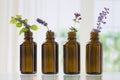Bottle Of Essential Oil