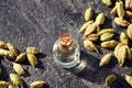 A bottle of essential oil with cardamom seeds on a gray background Royalty Free Stock Photo