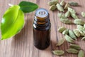 A bottle of cardamon essential oil with cardamon pods and leaves Royalty Free Stock Photo
