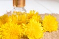 Bottle of essential oil with dandelion flowers in the foreground. Flower essential oil