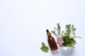 Bottle of essential oil, different herbs, rose flower and bud on white background, flat lay. Space for text Royalty Free Stock Photo