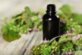 Bottle of essential oil and flowers on wooden table close up