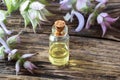 A bottle of clary sage essential oil with blooming clary sage