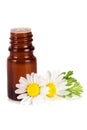 Bottle with essential oil and fresh chamomile flowers isolated on white background