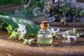 A bottle of essential oil with fresh clary sage plant Royalty Free Stock Photo