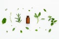 Bottle of essential oil with fresh herbal sage, rosemary, lemon Royalty Free Stock Photo
