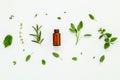 Bottle of essential oil with fresh herbal sage, rosemary, lemon Royalty Free Stock Photo