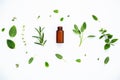 Bottle of essential oil with fresh herbal sage, rosemary, lemon Royalty Free Stock Photo